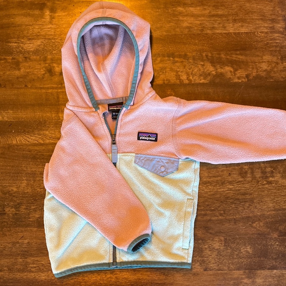 Patagonia toddler jacket